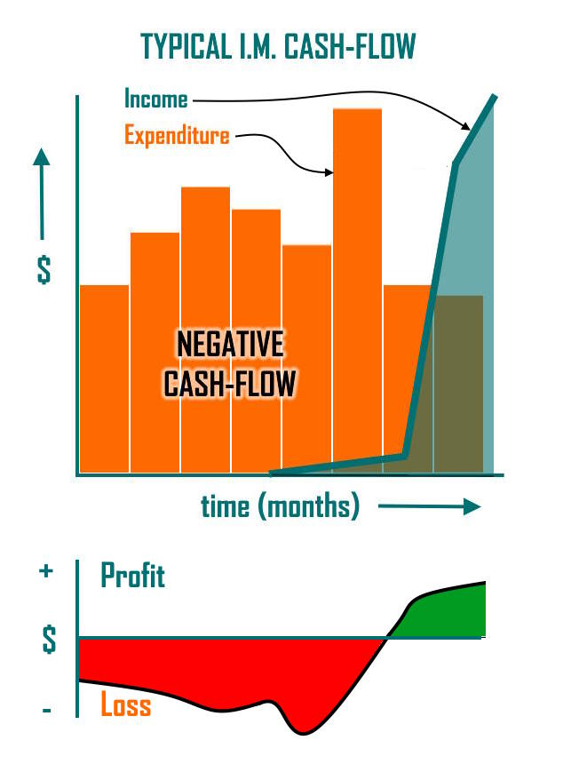 Cashflow Graph